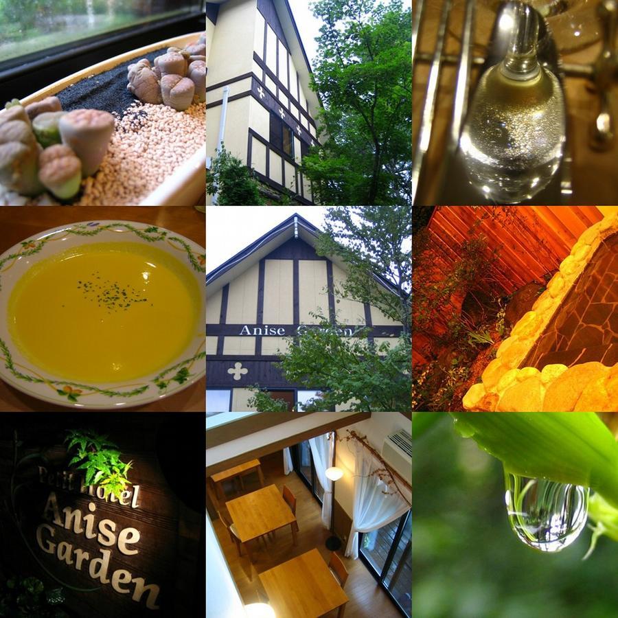 Hotel Anise Garden Hakuba Exterior foto